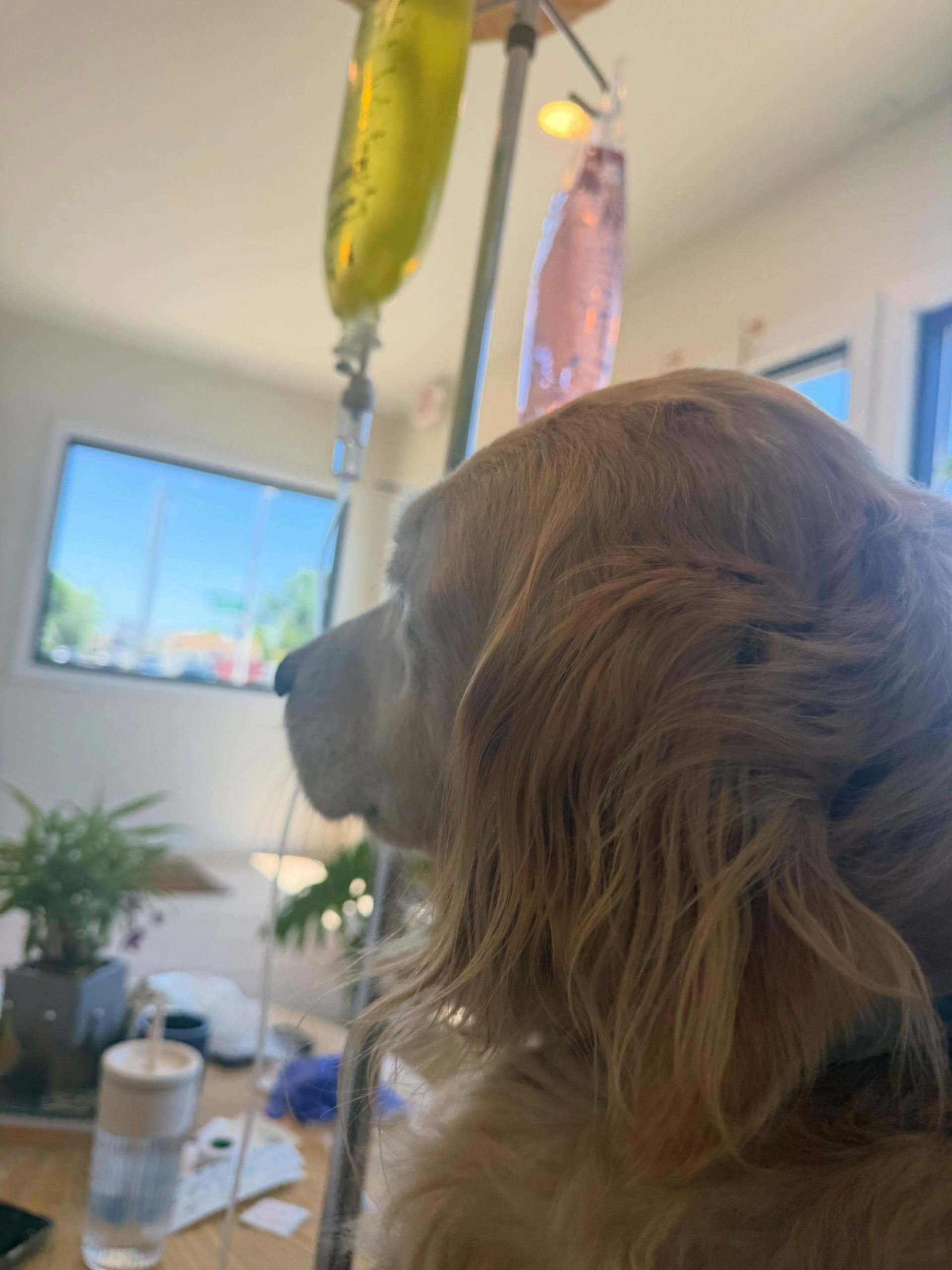 You are currently viewing Office hours with an added bonus!
